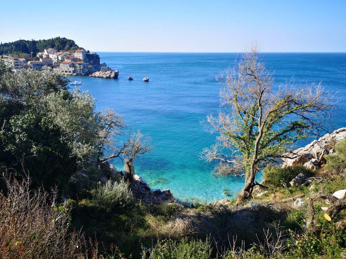 Langust - Free Parking Lejlighed Sveti Stefan Eksteriør billede