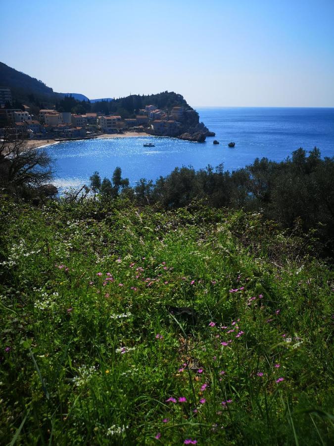 Langust - Free Parking Lejlighed Sveti Stefan Eksteriør billede