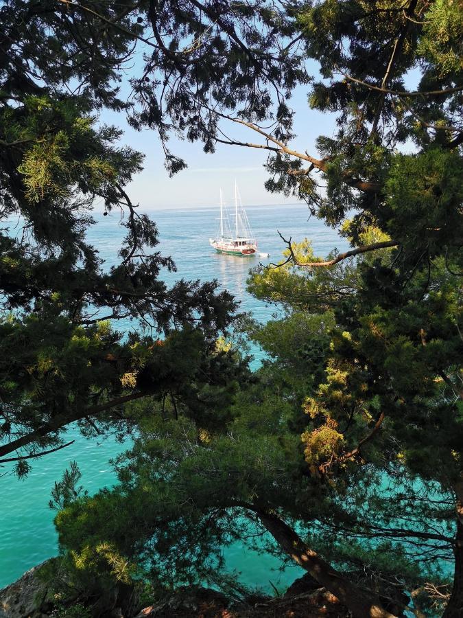 Langust - Free Parking Lejlighed Sveti Stefan Eksteriør billede